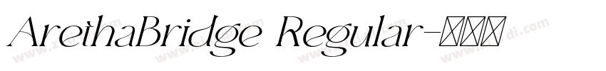 ArethaBridge Regular字体转换